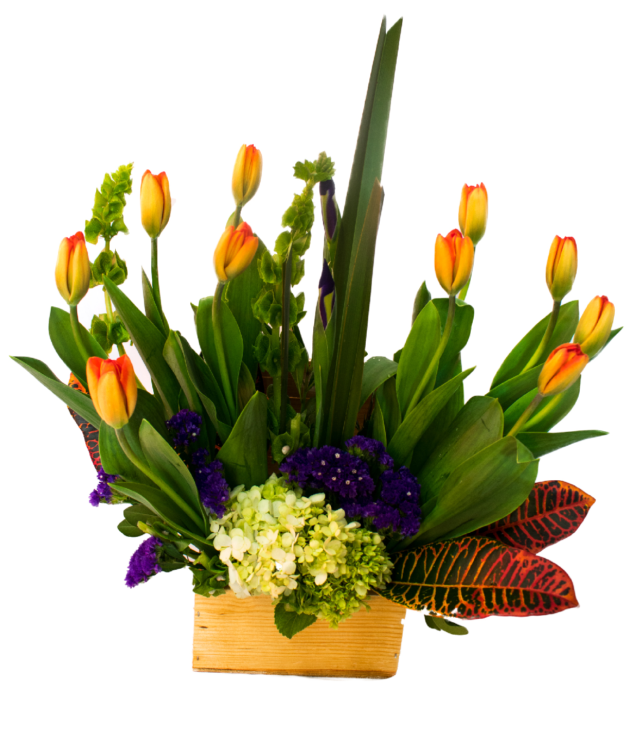 Arreglo Suave Atardecer 10 Tulipanes y Hortensia – Trento Floreria Boutique
