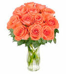 Orange Roses "Bliss"