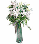 Arrangement of White Lili