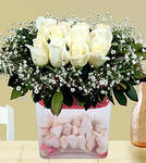 Arrangement of White Rose