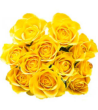 12 Yellow Roses w/o fille