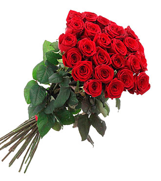 Bunch of 21 Red Roses