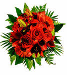 Carmen Bouquet