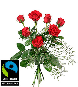 Red Max Havelaar-Roses