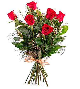 6 Long-stemmed Red Roses