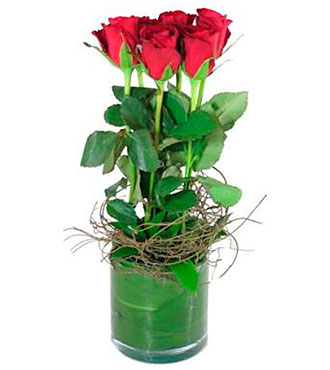 6 Red Roses In Vase