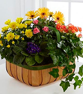 Gentle Blossoms Basket