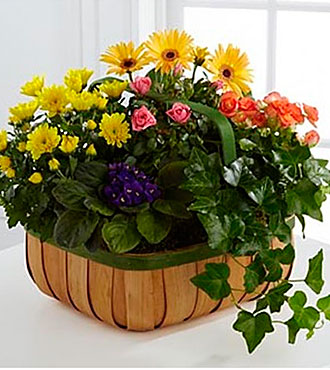 Gentle Blossoms Basket