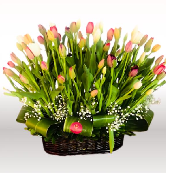 Canasta de tulipanes con follajes